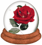 pic for rose globe  240x260